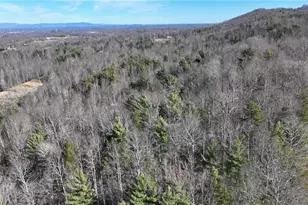 541 Pennell Rd, Moravian Falls, NC 28654 - Photo 40