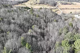 541 Pennell Rd, Moravian Falls, NC 28654 - Photo 42