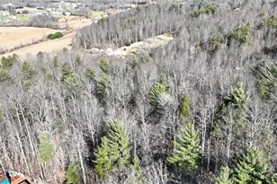 541 Pennell Rd, Moravian Falls, NC 28654 - Photo 38