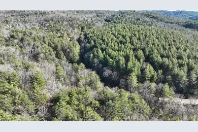 Tbd Big Ivy Road, Purlear, NC 28665 - Photo 12