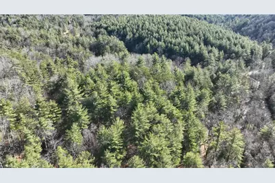 Tbd Big Ivy Road, Purlear, NC 28665 - Photo 4