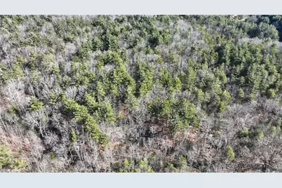 Tbd Big Ivy Road, Purlear, NC 28665 - Photo 30