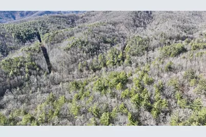 Tbd Big Ivy Road, Purlear, NC 28665 - Photo 38