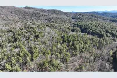 Tbd Big Ivy Road, Purlear, NC 28665 - Photo 28