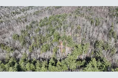 Tbd Big Ivy Road, Purlear, NC 28665 - Photo 40