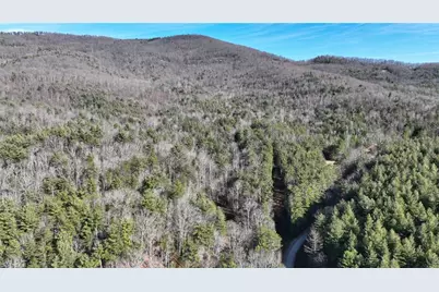 Tbd Big Ivy Road, Purlear, NC 28665 - Photo 14