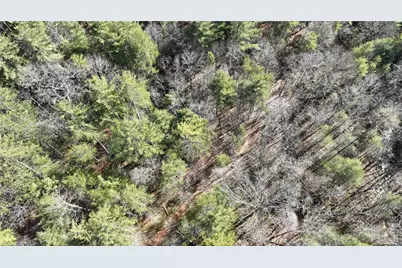 Tbd Big Ivy Road, Purlear, NC 28665 - Photo 6