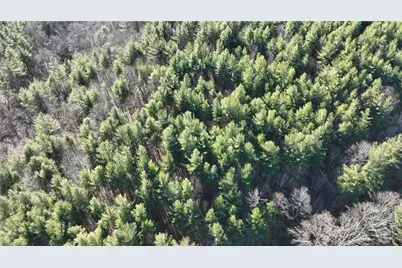 Tbd Big Ivy Road, Purlear, NC 28665 - Photo 46