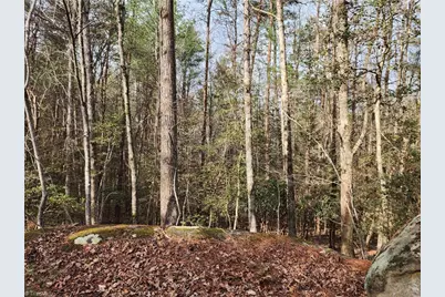 0 Rainbow Trout Drive #14, Hays, NC 28635 - Photo 4