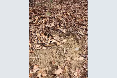 0 Rainbow Trout Drive #14, Hays, NC 28635 - Photo 12