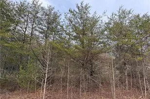 Tbd Mount Zion Rd, Ferguson, NC 28624 - Photo 1