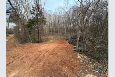 00 Booker T Womble Road, Randleman, NC 27317 - Photo 4