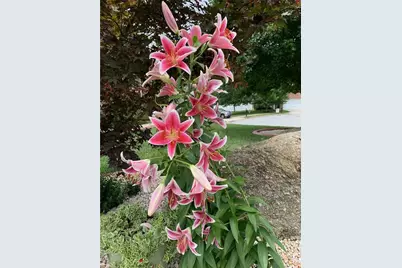 720 Stafford Park Drive, Kernersville, NC 27284 - Photo 26