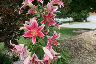 720 Stafford Park Dr, Kernersville, NC 27284 - Photo 26