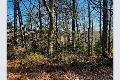 Tbd Holly Springs Road, Mount Airy, NC 27030 - Photo 4