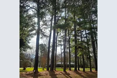 3144 Nc Highway 62 E, Liberty, NC 27298 - Photo 42