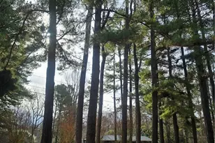 3144 Nc Hwy 62 E, Liberty, NC 27298 - Photo 42