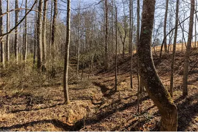 Lot 22 Canterbury Drive, North Wilkesboro, NC 28659 - Photo 14