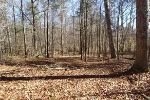 156 Payne Rd, Thomasville, NC 27360 - Photo 44