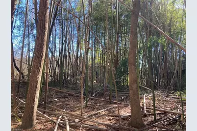 0 Junction Road, Mocksville, NC 27028 - Photo 10