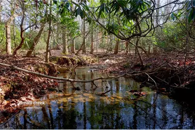 273 Olde Pilot Trail, Pilot Mountain, NC 27041 - Photo 32