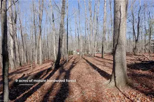 273 Olde Pilot Trail, Pilot Mountain, NC 27041 - Photo 34