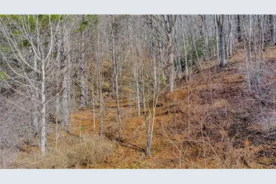 228 Don Adams Road, Lansing, NC 28643 - Photo 8