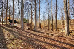 2973 Bridge Point Dr, Sophia, NC 27350 - Photo 44