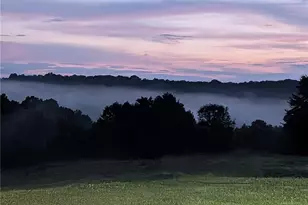 1565 Old Rockford Rd, Dobson, NC 27017 - Photo 42