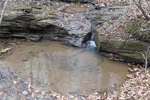 1565 Old Rockford Rd, Dobson, NC 27017 - Photo 34