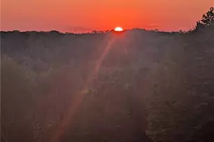 1565 Old Rockford Rd, Dobson, NC 27017 - Photo 38