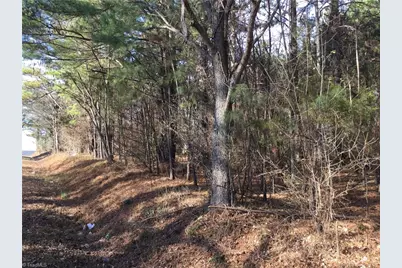 0 Lambert Road, Graham, NC 27253 - Photo 2