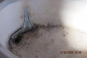 375 Marshall Johnson Rd, Pilot Mountain, NC 27041 - Photo 16