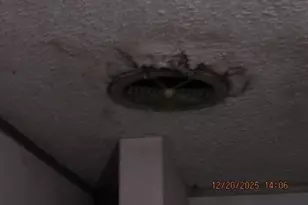 375 Marshall Johnson Rd, Pilot Mountain, NC 27041 - Photo 28