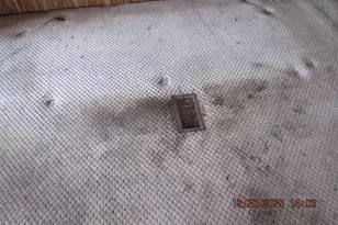 375 Marshall Johnson Rd, Pilot Mountain, NC 27041 - Photo 22