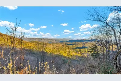 Tbd Lump Road, Purlear, NC 28665 - Photo 24