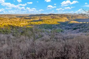 Tbd Lump Rd, Purlear, NC 28665 - Photo 1