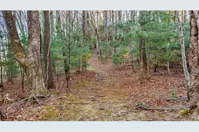 Tbd Lump Road, Purlear, NC 28665 - Photo 10