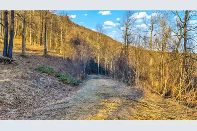 Tbd Lump Road, Purlear, NC 28665 - Photo 16