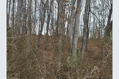 000 Nc Highway 89 W, Westfield, NC 27053 - Photo 8