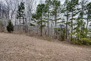 2585 Peppertree Ridge Rd, Randleman, NC 27317 - Photo 20