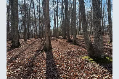 0000 Price Road, Eden, NC 27288 - Photo 6