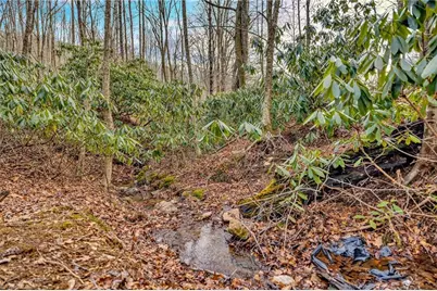 157 Noahs Ridge, Fleetwood, NC 28626 - Photo 50