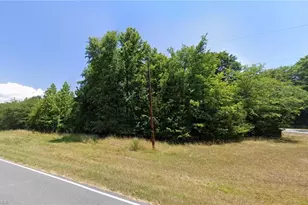 00 Tigers Den Rd, Randleman, NC 27317 - Photo 1