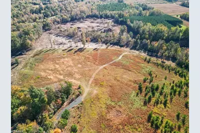 2008 Neelley Road, Pleasant Garden, NC 27313 - Photo 4