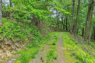 939 Don Bare Rd, Jefferson, NC 28640 - Photo 20