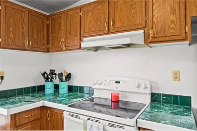 1058 Pearl Court, Randleman, NC 27317 - Photo 14