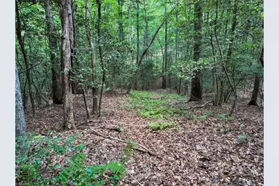 0 Rainbow Trout Drive, Hays, NC 28635 - Photo 8