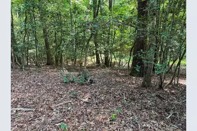 0 Rainbow Trout Drive, Hays, NC 28635 - Photo 10
