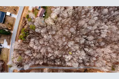 0 Mineral Springs Road, Pelham, NC 27311 - Photo 6